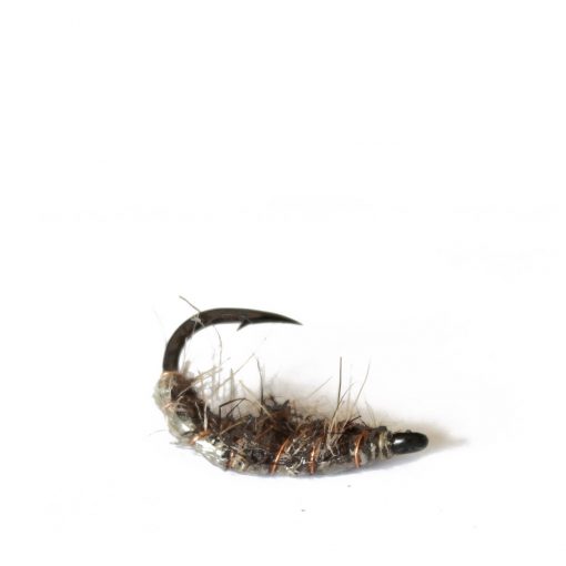 Dyckers_carp_amphi_brown